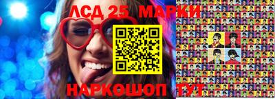 дмт Славгород