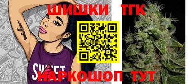 дмт Славгород