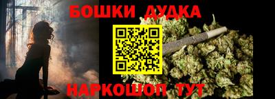 дмт Славгород