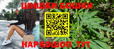 дмт Славгород